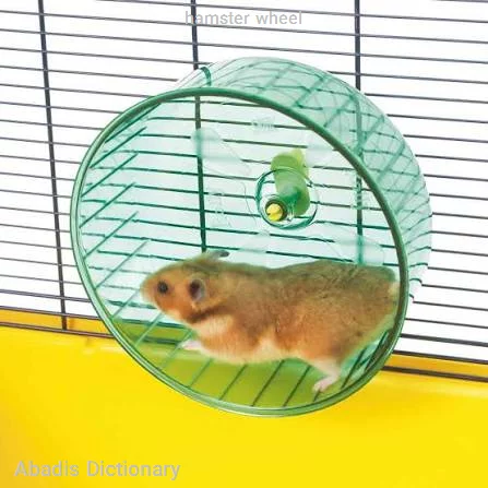 hamster wheel